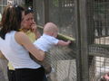 Tierpark Haag! 61561760