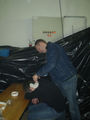 Silvester 2008 51326716