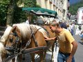 Stammtischausflug 2006 - Schafberg 18572020