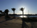 Urlaub in Hurghada 16934732