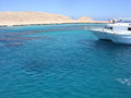 Urlaub in Hurghada 16934739