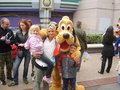 DISNEYLAND 2007 29317589