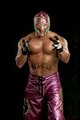 Rey Mysterio 16820793