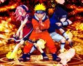 naruto 14513445