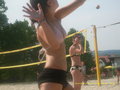 volleyball 14746296