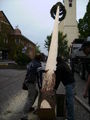 Maibaum 2009 58938915