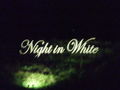 night in white  64782689