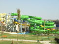 Hurghada 2008 44953962