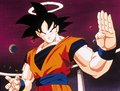 Dragon Ball Z 14980944