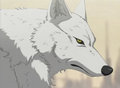 Wolf's Rain 14981232