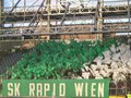 RAPID WIEN 16564351