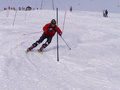 Best of Ski fahren 14564386