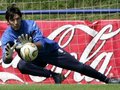 BUFFON 28413479