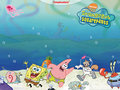 Sponge Bob Schwammkopf :-) 25003075