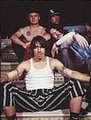 red hot chilli peppers 17376207