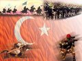 TURKEY 4-EvEr 24202236