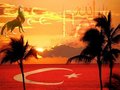TURKEY 4-EvEr 24202249