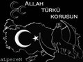 TURKEY 4-EvEr 24202252