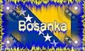 Bosna ist meine Seele 15910377