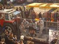 Fasching 2007 16965253