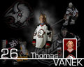 Thomas Vanek 21858444