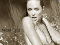 Angelina Jolie 16818652