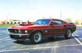 Ford Mustang 19743307