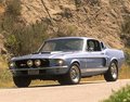 Ford Mustang 19743321