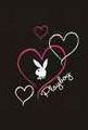 Playboy Logos 68434658