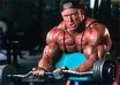 Bodybuilding 16259524