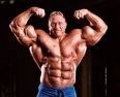 Bodybuilding 16259526