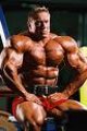 Bodybuilding 16259528