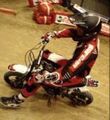 Motorcross und so 33941241