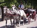 Wien Schönbrunn 65467657