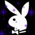 playboybunnys!!!!!!!!!!!!!!!!!!!! 16916404