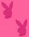 playboybunnys!!!!!!!!!!!!!!!!!!!! 16916409