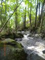 Yspernklamm - Druidenweg 65301104