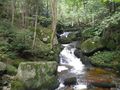 Yspernklamm - Druidenweg 65302145