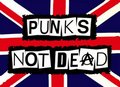 PUNK 17280994