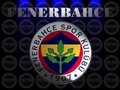 Fenerbahce 21954395