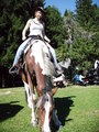 unsare Pferd 14920065