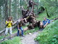 Wandern 10. - 12.08.2008 (Admont) 43079170