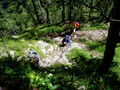 Wandern 10. - 12.08.2008 (Admont) 43079506