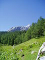 Wandern 10. - 12.08.2008 (Admont) 43079628