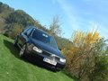 2004 - 2008 ... Golf IV 17425362