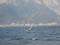 Surfen am Traunsee 16322617