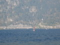 Surfen am Traunsee 16322655