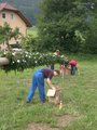 Maibaum zruckbringa Oberthal 3.6.07 21110301