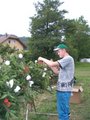 Maibaum zruckbringa Oberthal 3.6.07 21110346