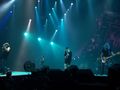 AC/DC -  BLACK ICE TOUR - 2009 56816196